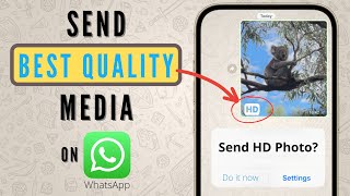 How to Send HD Photos and Videos in WhatsApp High Quality [upl. by Aicre]