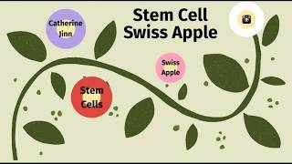 Catherine Jinn  Stem Cell Swiss Apple [upl. by Ecnatsnok]