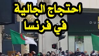 احتجاج الجالية الجزائرية في الخارج [upl. by Notnarb]