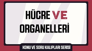 Hücre ve Organelleri Konu ve Soru Kalıpları Serisi [upl. by Nwahsel]