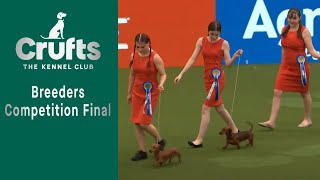 Breeders Competition Final  ​Crufts 2023 [upl. by Roberta653]