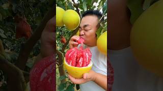 Injoy the world best Nature fruits shorts trending fruits [upl. by Dulcle]