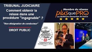 Procédure quotingagnablequot devant le tribunal judiciaire relaxe vivant complotiste droit routier [upl. by Wilfreda]