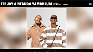 Tee Jay amp Ntando Yamahlubi  Njalo Official Audio feat Msong amp Spelete [upl. by Eibmab]