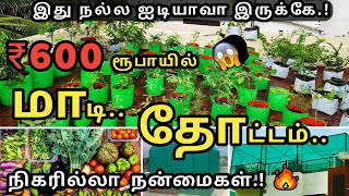 பட்டய கெளப்பும் மாடித்தோட்டம்  கட்டாயம் தெரிஞ்சுக்கோங்க  Start a 𝐒𝐢𝐦𝐩𝐥𝐞 𝐓𝐞𝐫𝐫𝐚𝐜𝐞 𝐆𝐚𝐫𝐝𝐞𝐧 Ideas [upl. by Ahusoj]