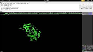 Preparing the receptor Autodock Vina Basic Molecular Docking Tutorial [upl. by Tiebold164]