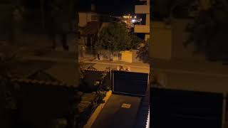 Lion escape night roam in Ladispoli streets [upl. by Jamaal]