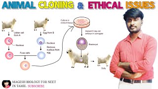 Animal Cloning amp Ethical Issues  class 12 Neet Biology MAGESHBIOLOGY [upl. by Becky]