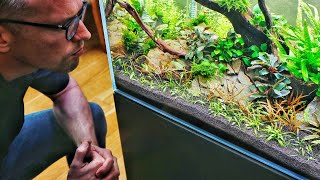 Nature Aquarium Aquascape  Aquascaper 600  2 month BIG update [upl. by Sitnalta]