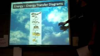 KS3 ENERGY part 2 of 6  energy flow diagram [upl. by Airdnal]