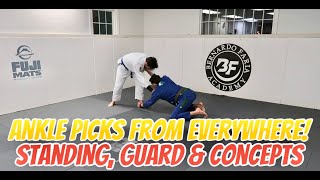 Ankle Picks From Everywhere  EASY Takedown FOR BJJ [upl. by Mukul]