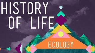 The History of Life on Earth  Crash Course Ecology 1 [upl. by Netsua267]