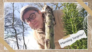 Garden Diary Embarrassing Echium amp Spring Plants [upl. by Engelbert]