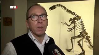 RFH aktuell 2017 02 10  Jurassic Harz  Dinosaurier Ausstellung  Kinderkrebshilfe  Pokal [upl. by Suk475]