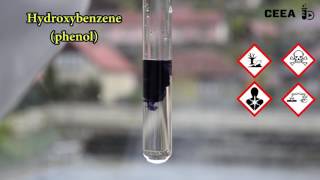 Laboratory Synthesis of Aspirin [upl. by Lindner]