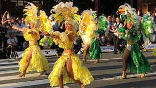 2018 浅草サンバカーニバル Asakusa Samba Carnival 2018  Tokyo Japan [upl. by Ambrosi]