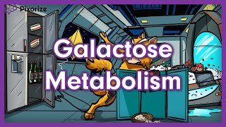 Galactose Metabolism Mnemonic  USMLE Preview [upl. by Boffa]