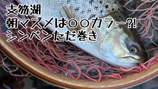 【支笏湖釣行】ブラウントラウト 朝マズメは○○カラー⁈シンペンただ巻き [upl. by Hillyer]