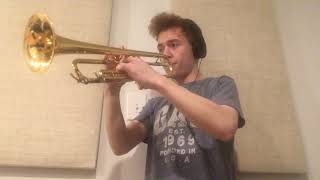 Gustav Mahler  Blumine Trumpet Solo [upl. by Allanson532]