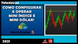 Curso Day Trade Completo Como Configurar Meta Trader 5 Operar Mini Índice e Mini Dólar Prática 2021 [upl. by Noxin]