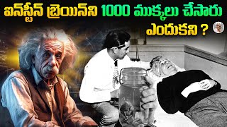 ఐన్‌స్టీన్ బ్రెయిన్ ని ఎందుకు దొంగిలించారు   పరిశోధనలో తెలిసిన రహస్యాలు   EINSTEINS BRAIN Facts [upl. by Yrrab159]