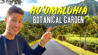 Hoomaluhia Botanical Garden Tour amp Guide  Things to Do Oahu Hawaii [upl. by Ranitta]