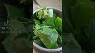 मिठो मिठो अर्गानिक गाभा को तरकारी 😊 shortvideo food [upl. by Sewellyn]