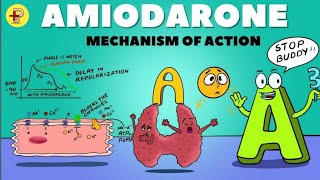 Amiodarone  Amiodarone pharmacology  Antiarrhythmic Drugs SceneSanjeet [upl. by Edialeda]