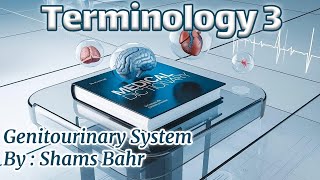 3 Genitourinary system  Terminology by Shams Bahr [upl. by Langley]