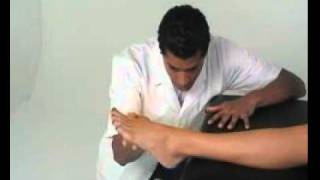 Assessing Calf Muscle Flexibility [upl. by Legnalos832]