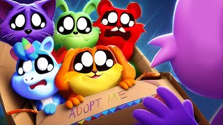 Catnap amp Cute Smiling Critters ADOPTED at Birth Cartoon Animation  KIKI Toons [upl. by Chiquia]