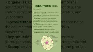 Prokaryotic Vs Eukaryote Cells prokaryoticcells eukaryoticcell biology cells bio [upl. by Skurnik]