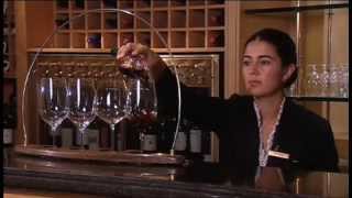 Discover The Wines of Chile Part 1 of 2 [upl. by Nailimixam]