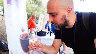 Vermentino Wine Festival Calangianus [upl. by Nilyram]