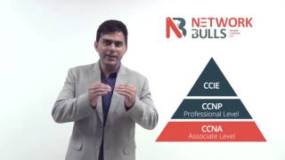 How to become Network Administrator by taking CCNA CCNP and MCSE Certification Trainings [upl. by Wynne684]