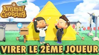 2 NOUVEAUX HABITANTS TROP COOL   ANIMAL CROSSING NEW HORIZONS EPISODE 56 COOP [upl. by Enyehc]