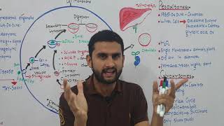 Ch 4 Lec 12 Peroxisomes and Glyoxisomes Fsc Part 1 UrduHindi lecture MDCAT NEET NCERT M Bilal Ch [upl. by Laohcin]