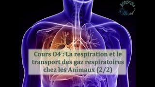 Cours O4  La respiration et le transport des gaz respiratoires chez les animaux 22 [upl. by Dafodil]