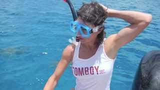 Sharks  T Dinwiddie  TomboyX In Tahiti [upl. by Atsira]