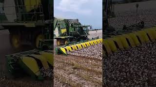 Mechanized cotton picking process Good tools and machinery can increase work efficiency [upl. by Otrebmuh597]