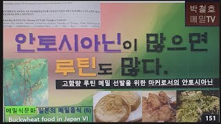 안토시아닌이 많으면 루틴도 많다일본의 메밀음식6 [upl. by Enaek941]