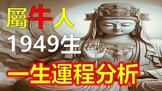 1949年屬牛人生於己丑年，即1949年，屬牛的人，今年已經75歲了。屬牛人一生的運勢，屬牛人童年時期，家境雖然不富裕，但家庭關係和睦，這為屬牛人奠定了好的性格。生肖運勢 生肖 十二生肖 [upl. by Erual]