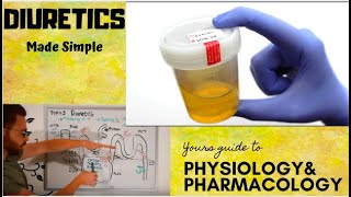 Diuretics CVS Pharmacology  part 1 [upl. by Karyn99]