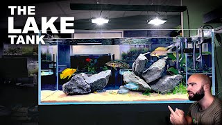 Aquascape Tutorial EPIC 4ft African Cichlid Aquarium  Lake Tanganyika How To Step By Step Guide [upl. by Lancelot141]