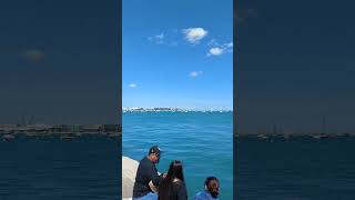 Chicago Lakefront chicagotravel travelfromhome citywalk usatravel [upl. by Higley812]