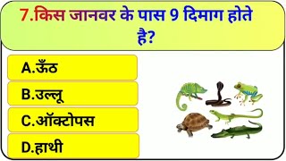 GK QUESTION GK IN HINDI  GK QUESTION AND ANSWER  GK QUIZ [upl. by Tory]