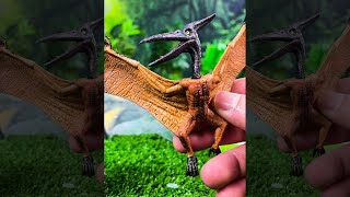 NEW Pterodactyl Pteranodon and Dimorphodon Dinosaurs Shorts [upl. by Henrique]