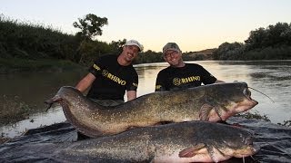 Catfish Survival  Ausgesetzt in der Wildnis Spaniens [upl. by Romeyn]