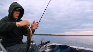 Kesagami Wilderness Lodge Presents Night Walleye Fishing [upl. by Enegue]