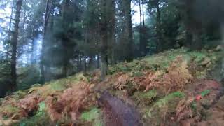 Dalby Forest Red Route [upl. by Buzz]